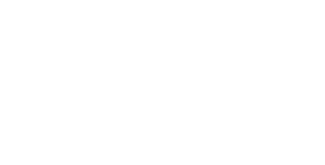 Rocnet-logo